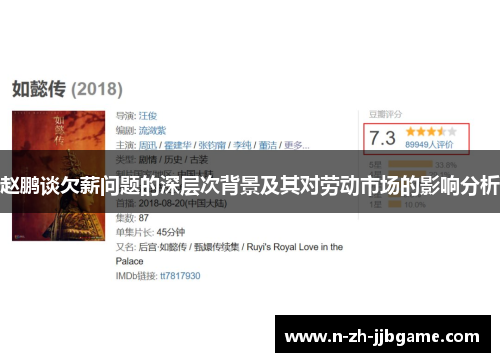 赵鹏谈欠薪问题的深层次背景及其对劳动市场的影响分析 赵鹏谈欠薪问题的深层次背景及其对劳动市场的影响分析