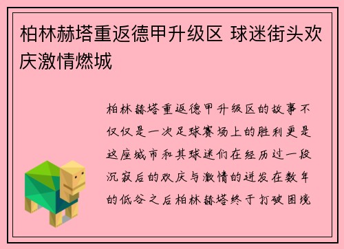 柏林赫塔重返德甲升级区 球迷街头欢庆激情燃城